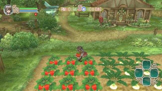 rune_factory_frontier_09.jpg