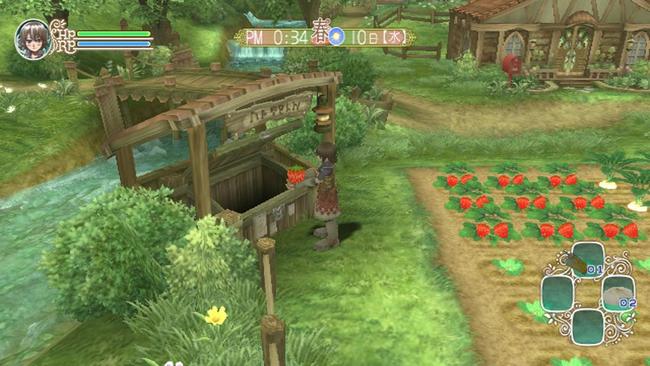 rune_factory_frontier_08.jpg