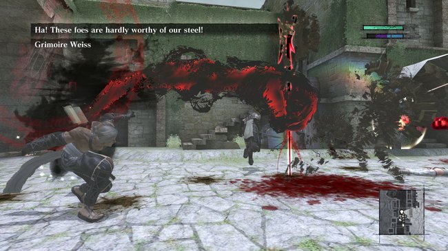 nier_02.jpg