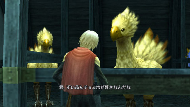 type0_042311_02.jpg