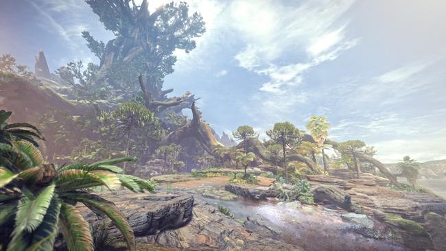 Ancient_Forest.jpg