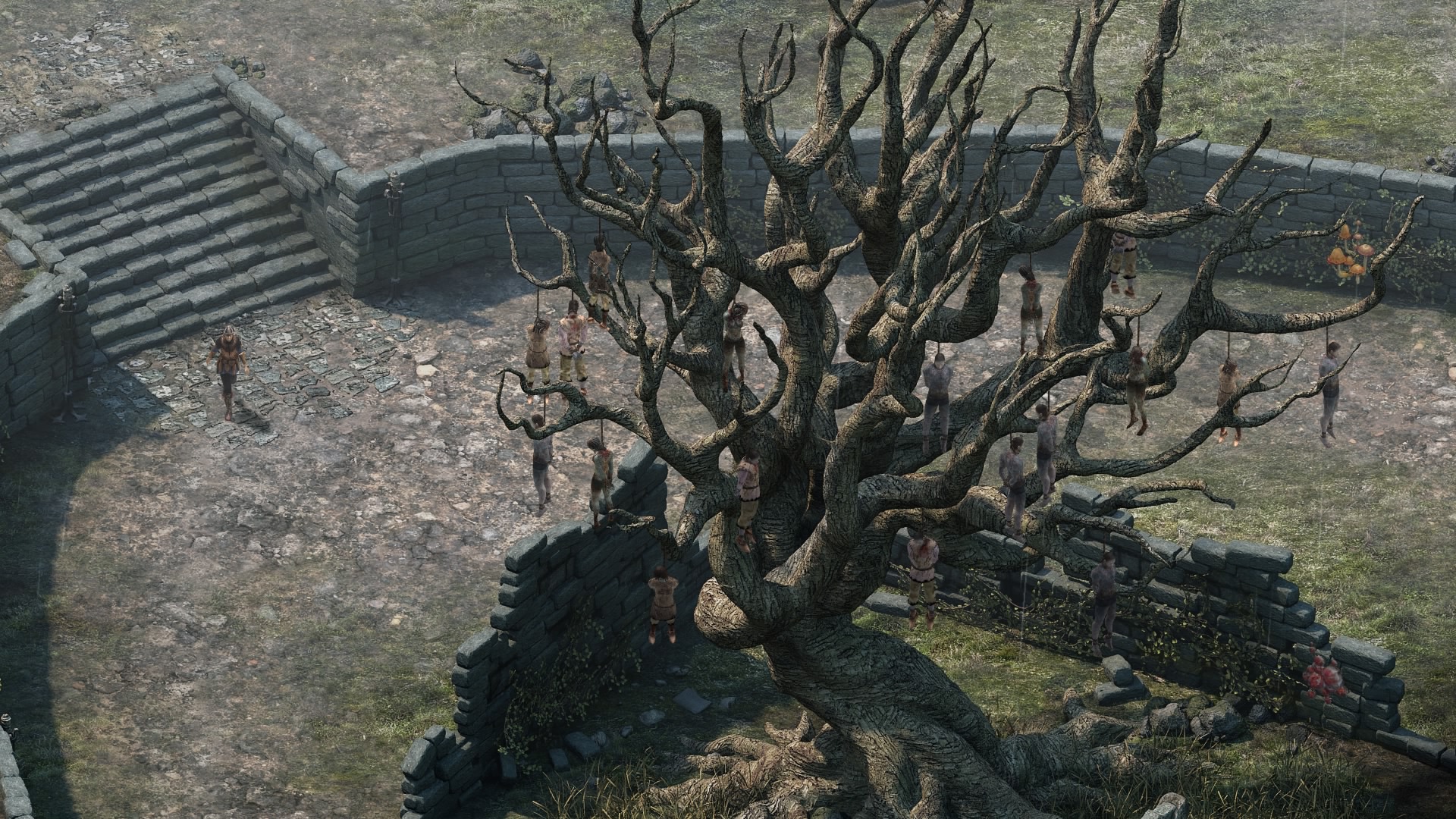 Pillars of Eternity Complete Edition Review RPG Site