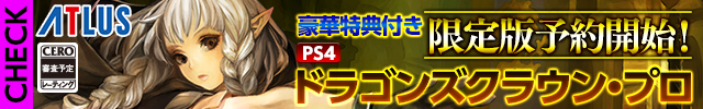 Dragons-Crown-Pro_Leak.png