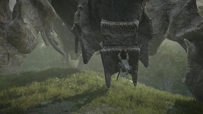 SHADOW OF THE COLOSSUS_20180127141027.jpg