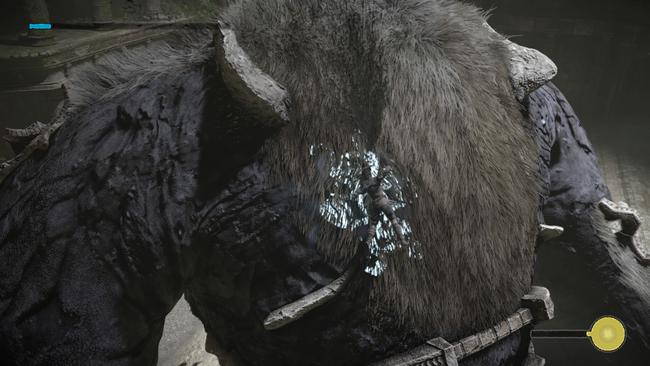 SHADOW OF THE COLOSSUS_20180202183128_1.jpg