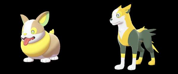 pokemon_sword_shield_list_yamper_boltund.jpg