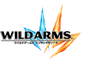 Wild Arms: Million Memories