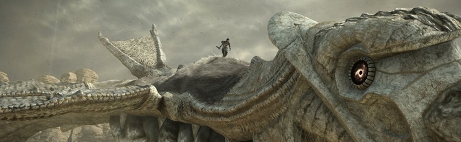Shadow Of The Colossus Review