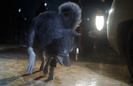Final Fantasy XV gets a new trailer at Gamescom 2015