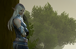 Final Fantasy XI mobile remake gets its first real screenshots