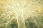 Elden Ring delayed to February 25, 2022; Closed Network Test Announced
