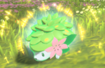 Pokemon Legends: Arceus will let Sword & Shield players obtain Shaymin