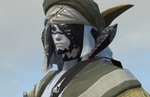 FFXIV Endwalker: Retainer leveling, gearing, ventures, and making Gil