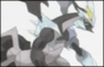 Major Pokemon announcement coming on the 8th?