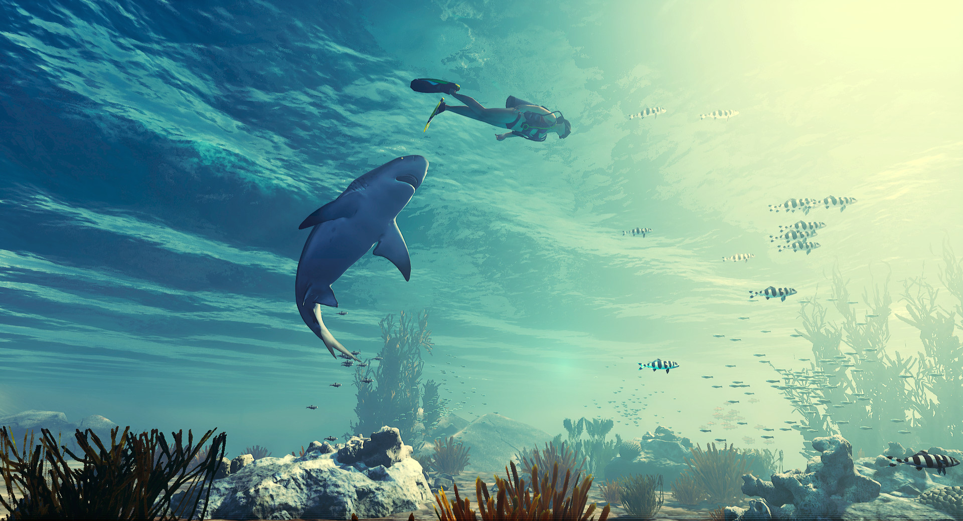 Maneater is an Action-RPG Where You're a Shark | RPG Site